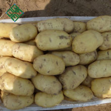China Fresh Potatoes Supplier 200g Fresh Potato